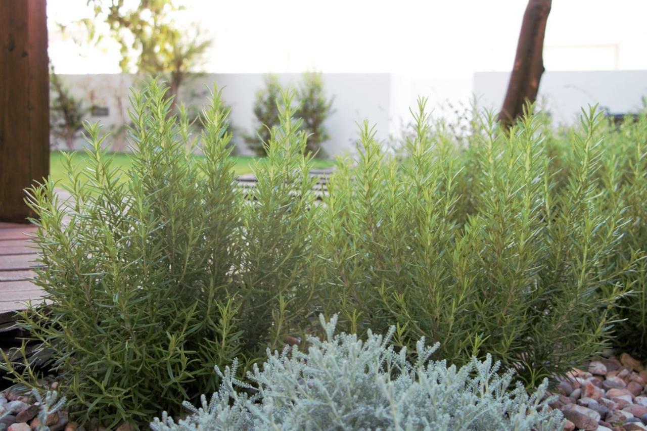Graca Garden Home Lisbon Exterior photo